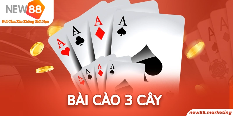 vina24h xổ số sóc trăng