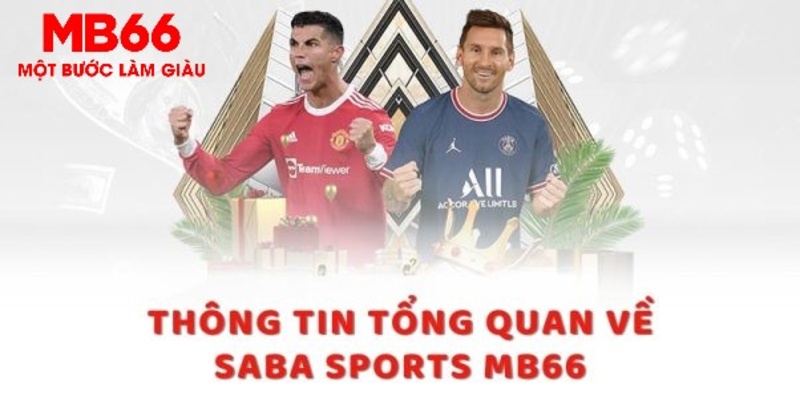 vina24h trực tiếp xổ số miền bắc