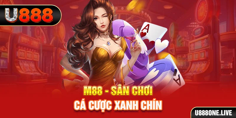 vina24h gà chọi cậu thanh