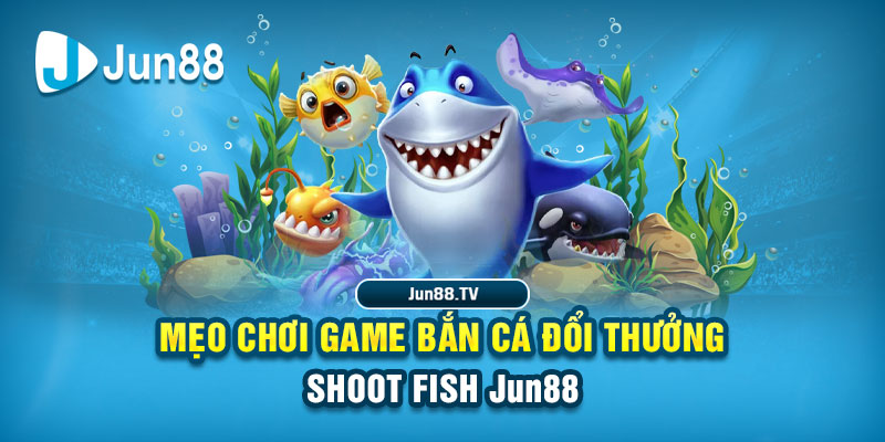 vina24h tai game danh bai bigkool ve may tinh