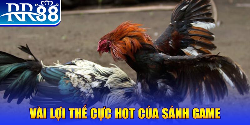 vina24h nổ hủ là trò gì