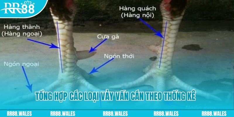 vina24h nổ hũ chơi như thế nào