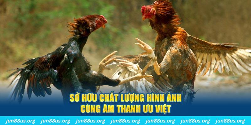 vina24h tai game danh bai ve may tinh