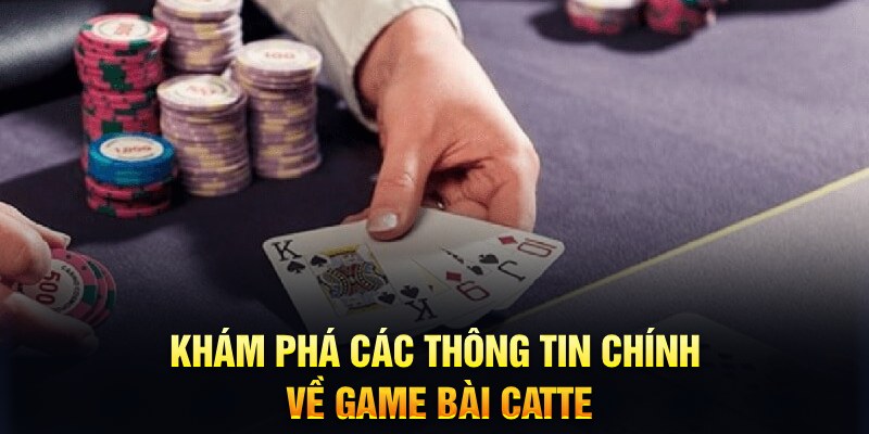 vina24h Trăm người Bo tám Bo chín