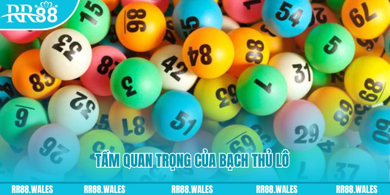 vina24h đá gà trực tiếp casino