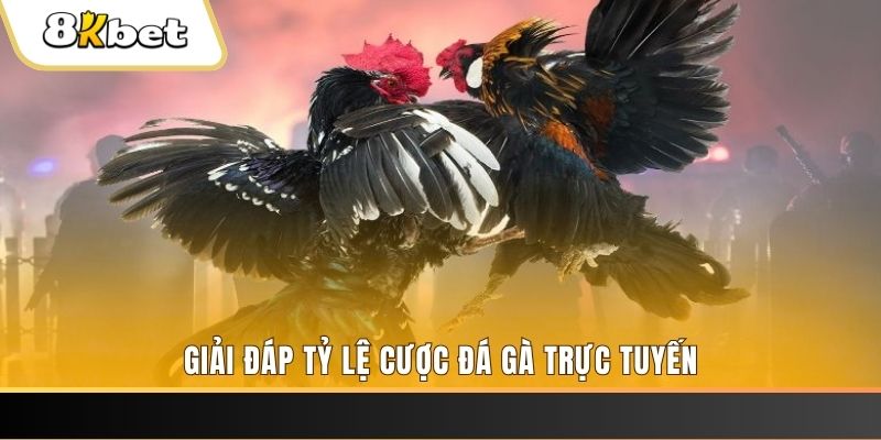 vina24h xổ số ba đài