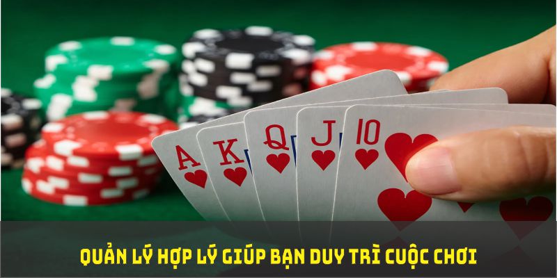 vina24h TP Xổ Số