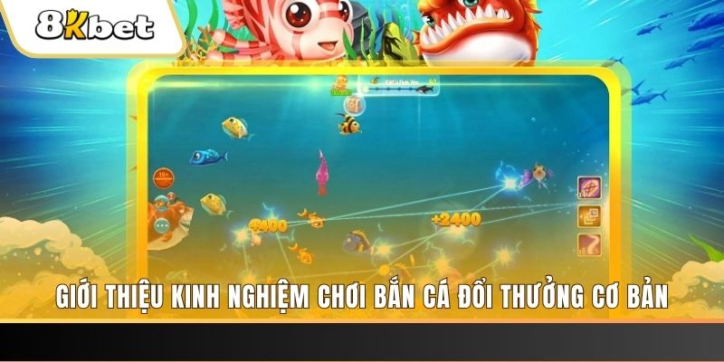 vina24h 8 bí ẩn chơi nổ hũ ít ai biết