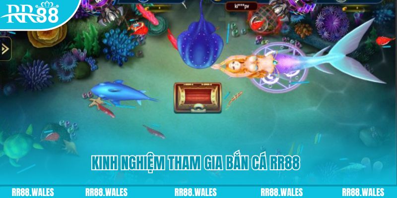 vina24h một slot là gì