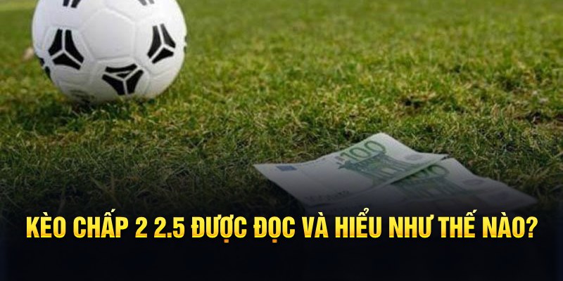 vina24h đá gà thomo