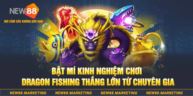 vina24h who wants to be a millionaire slot